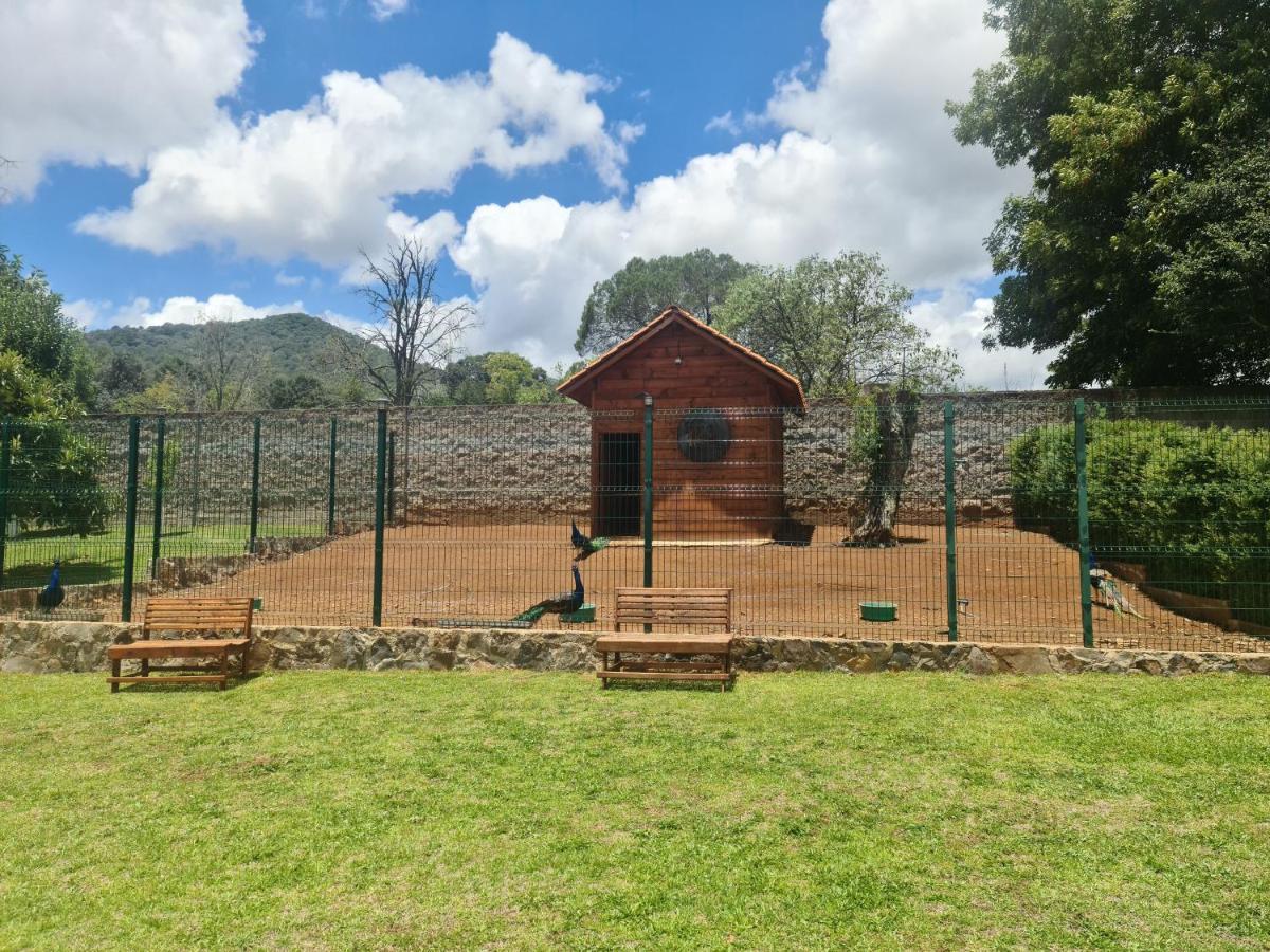 Finca Los Angeles Hospederia & Sociales Уаска-де-Окампо Экстерьер фото