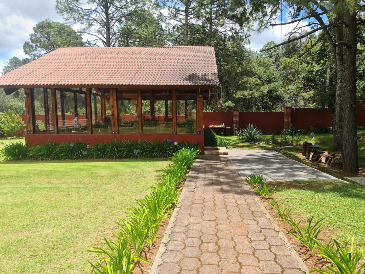 Finca Los Angeles Hospederia & Sociales Уаска-де-Окампо Экстерьер фото