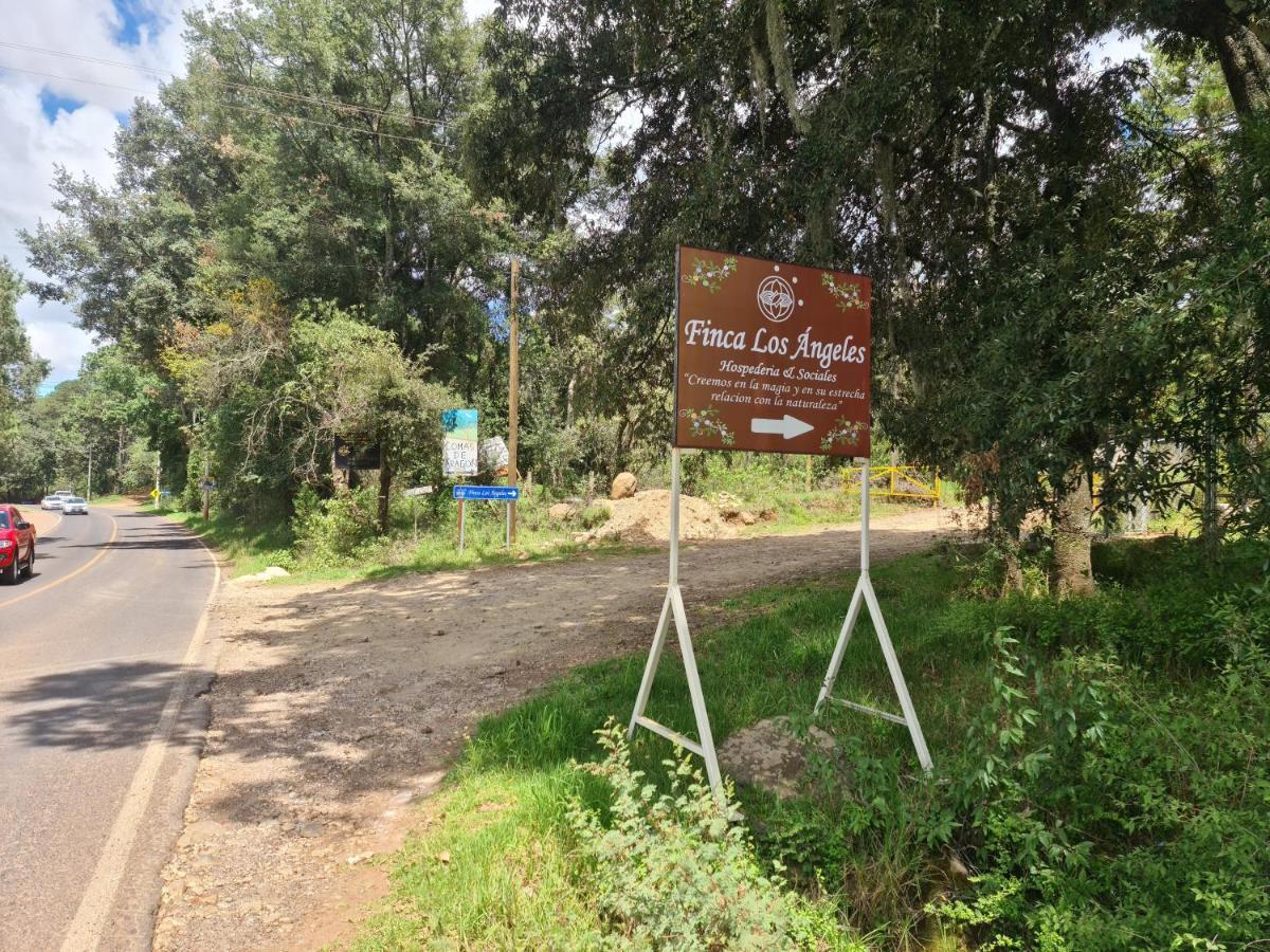 Finca Los Angeles Hospederia & Sociales Уаска-де-Окампо Экстерьер фото